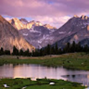 Meet your Posher, Faye